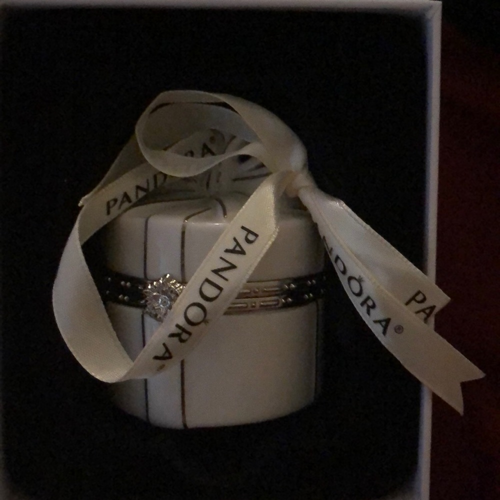 Pandora Ornament box that holds a charm. Brand new